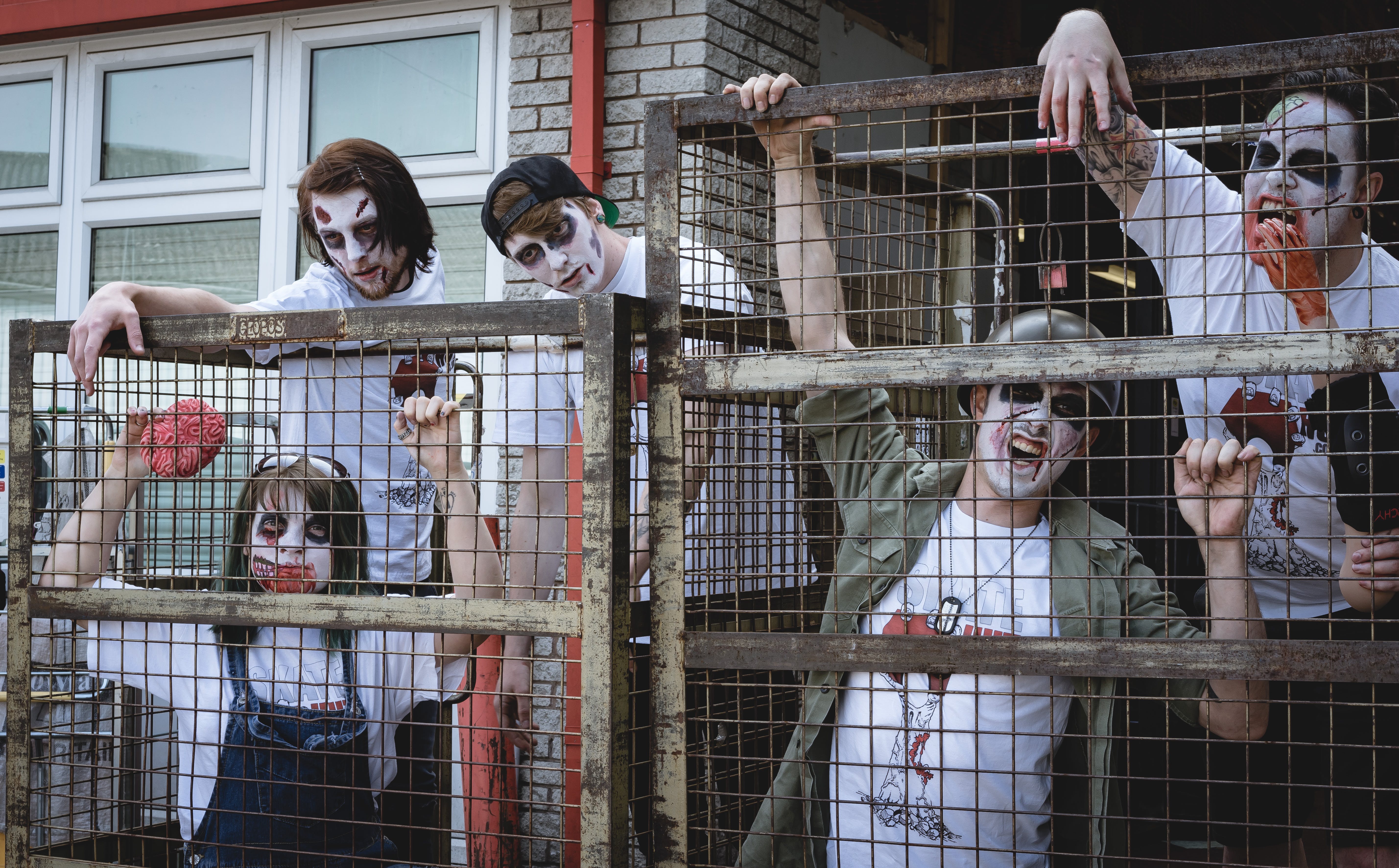 The Zombies Are Coming...