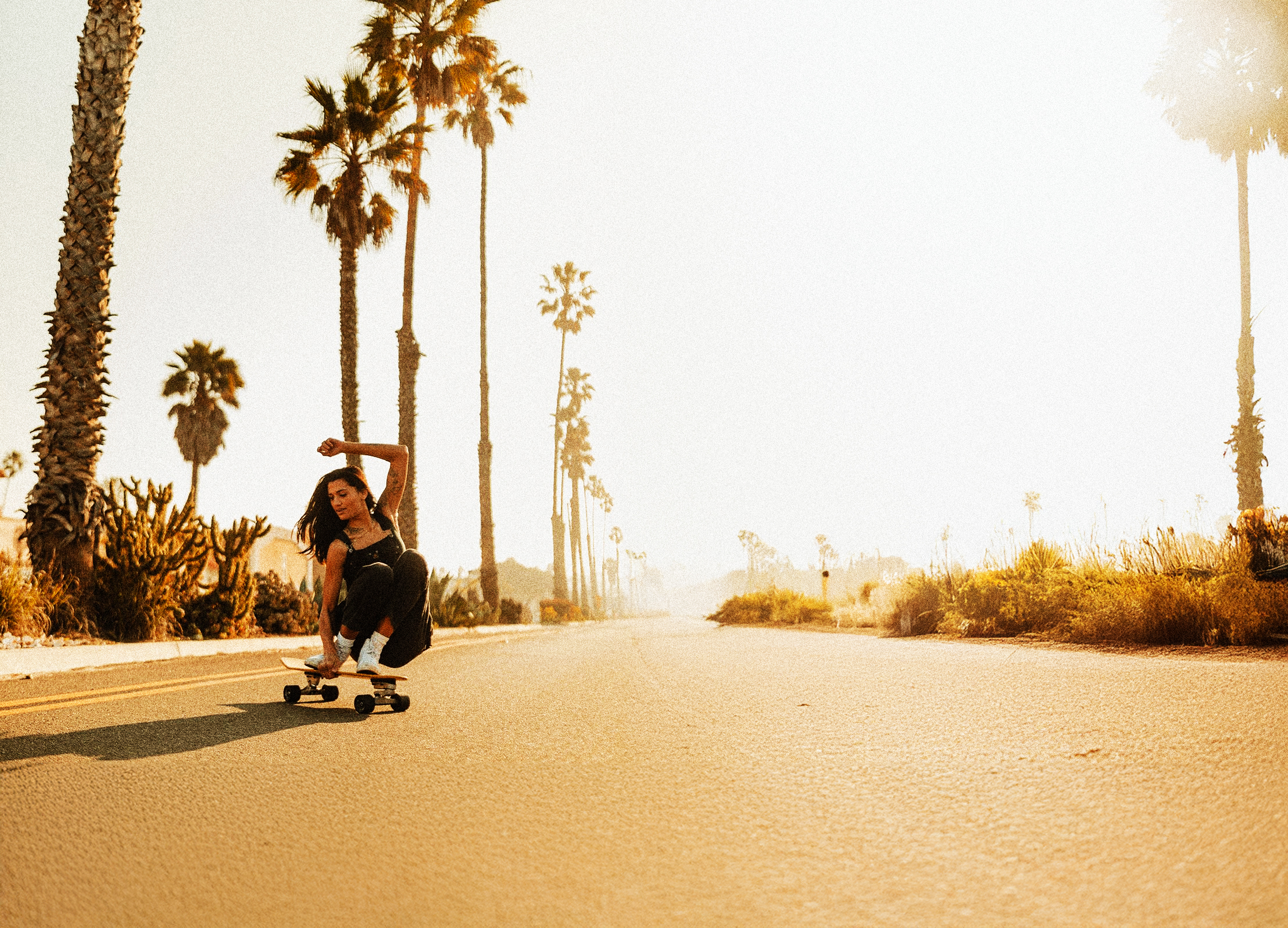 Skateboard Vs Longboard: What's the difference?