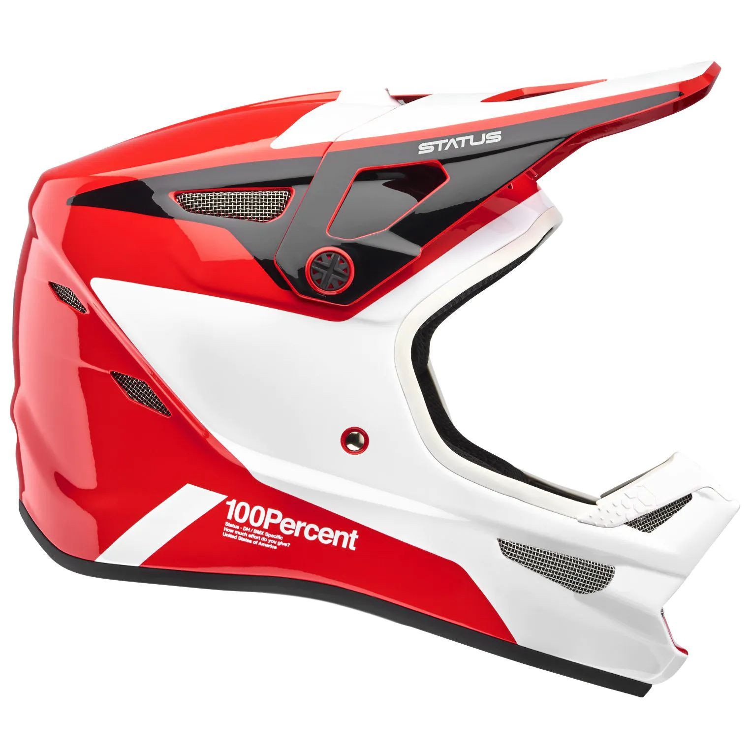 100 Status Youth Full Face Downhill BMX Helmet Hellfire SkateHut