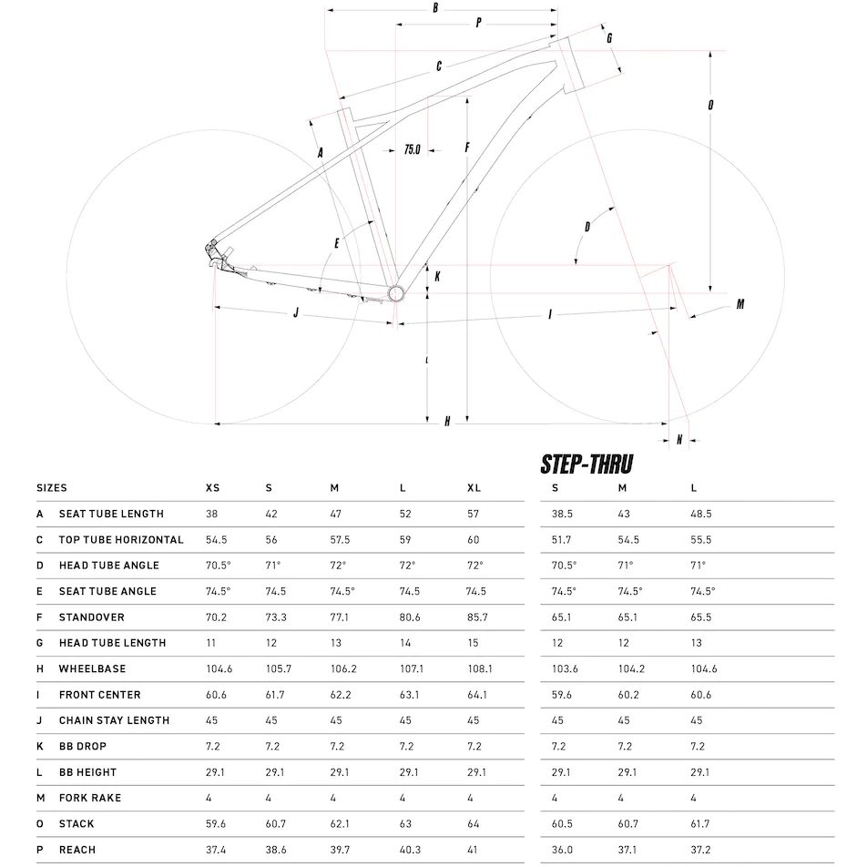 Gt transeo elite 2019 sales