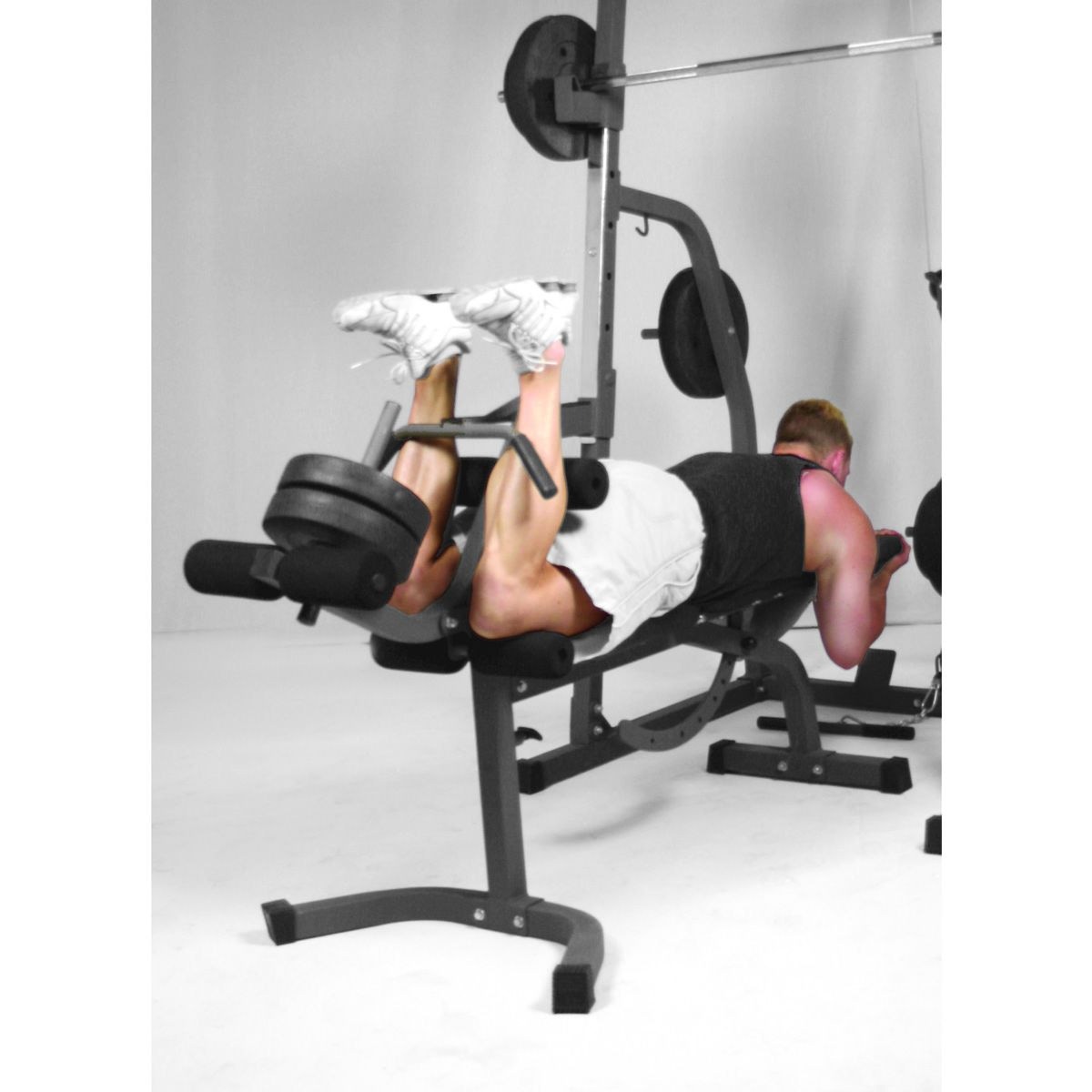 Weight bench solid xp hammer outlet