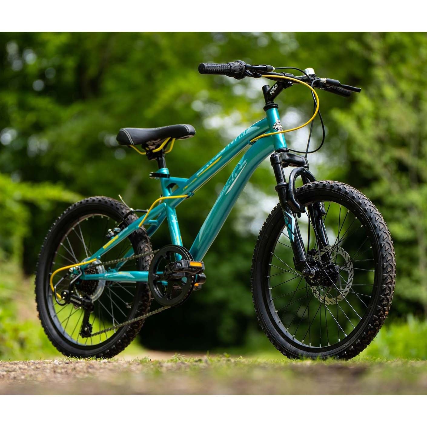Blue and green mountain bike shop