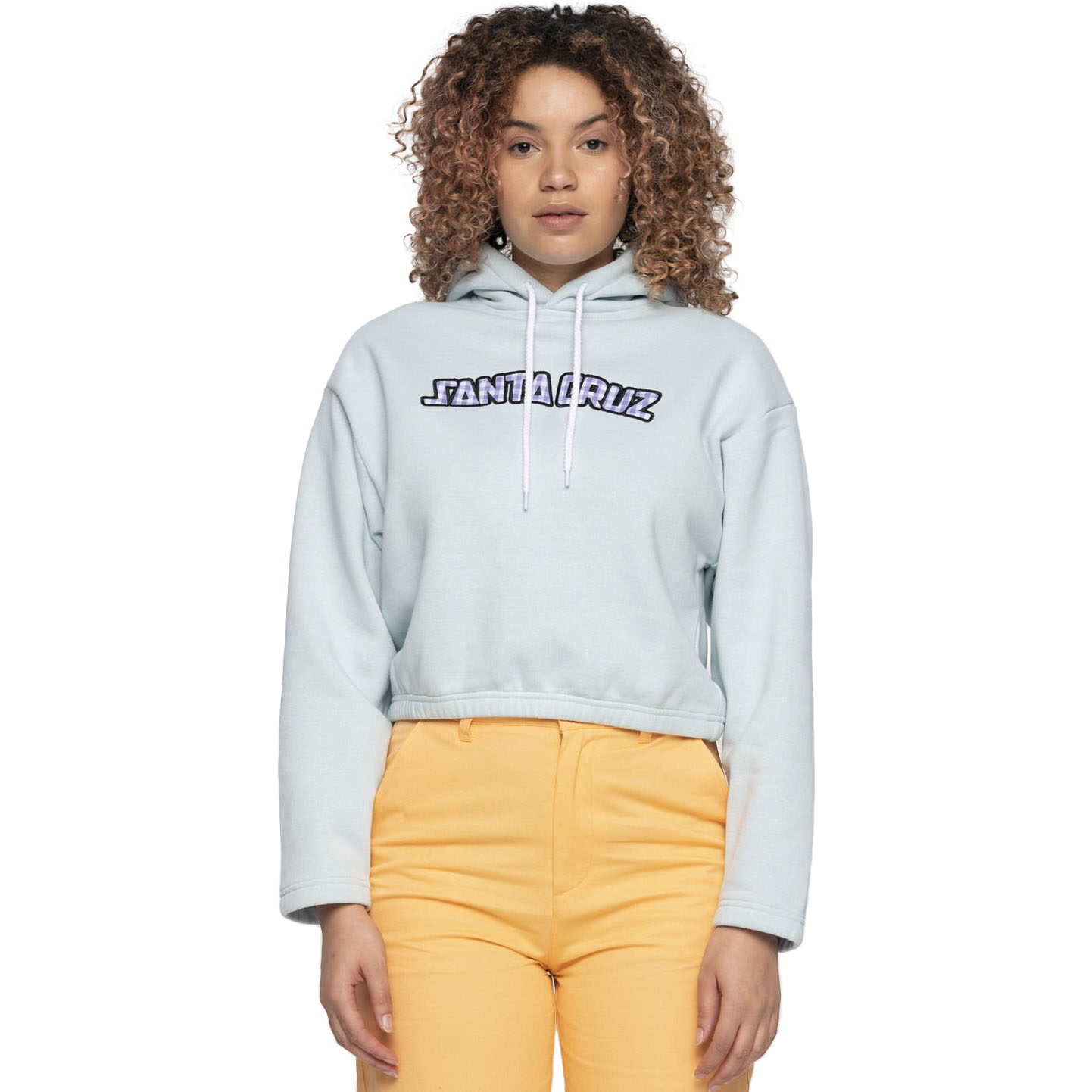 Santa Cruz Gingham Arch Strip Hoodie Baby Blue SkateHut