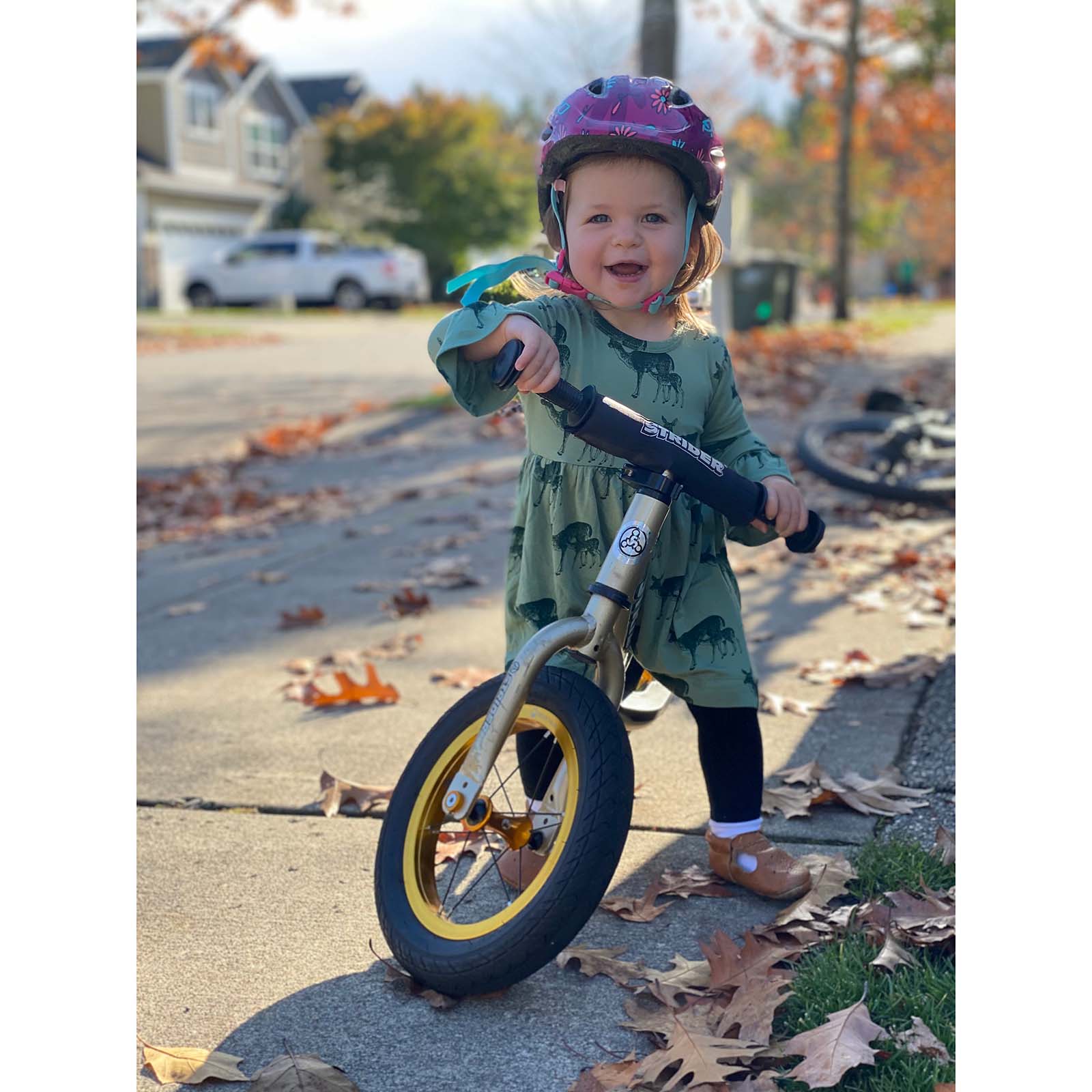Strider bike pro 2025