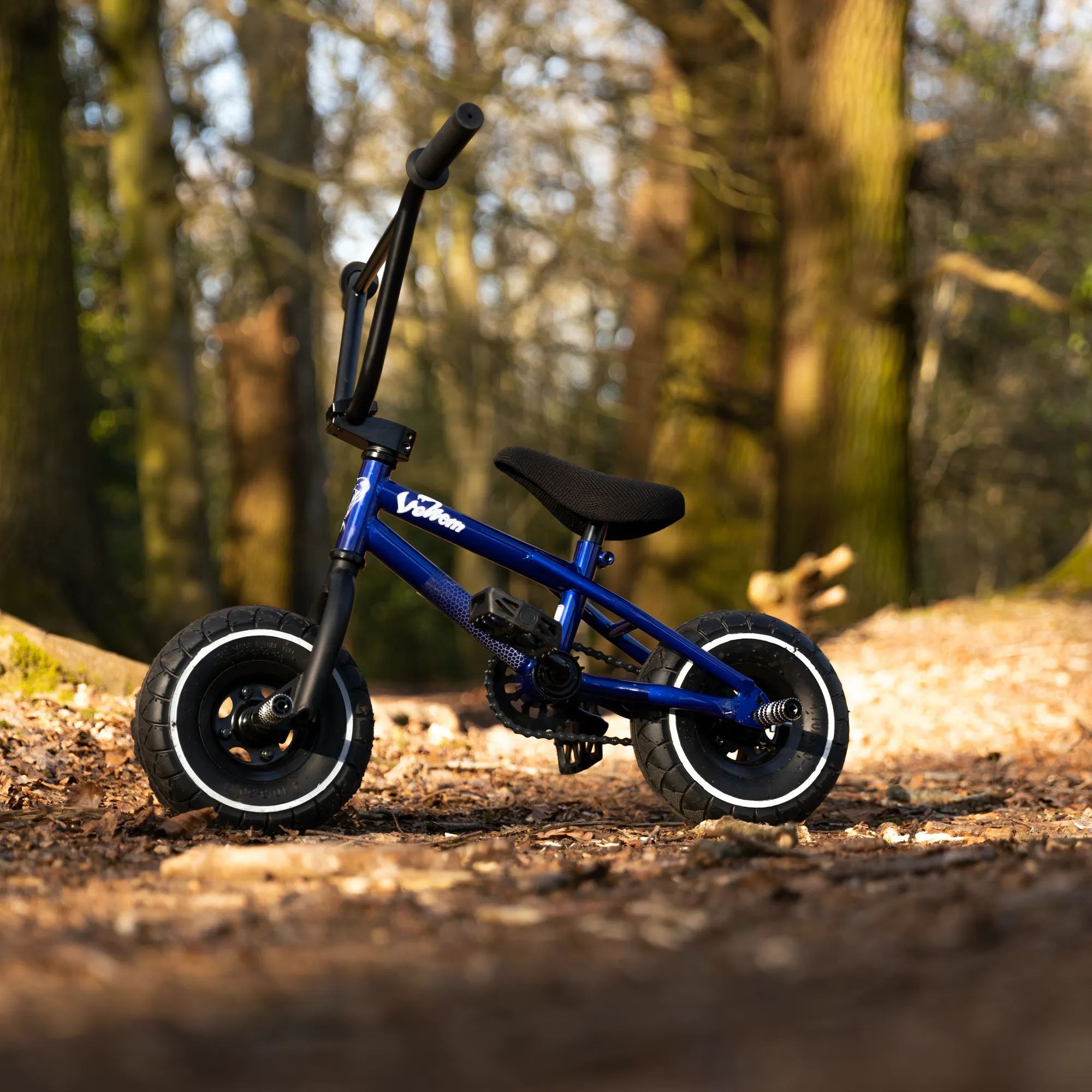 Mini bmx cheap store