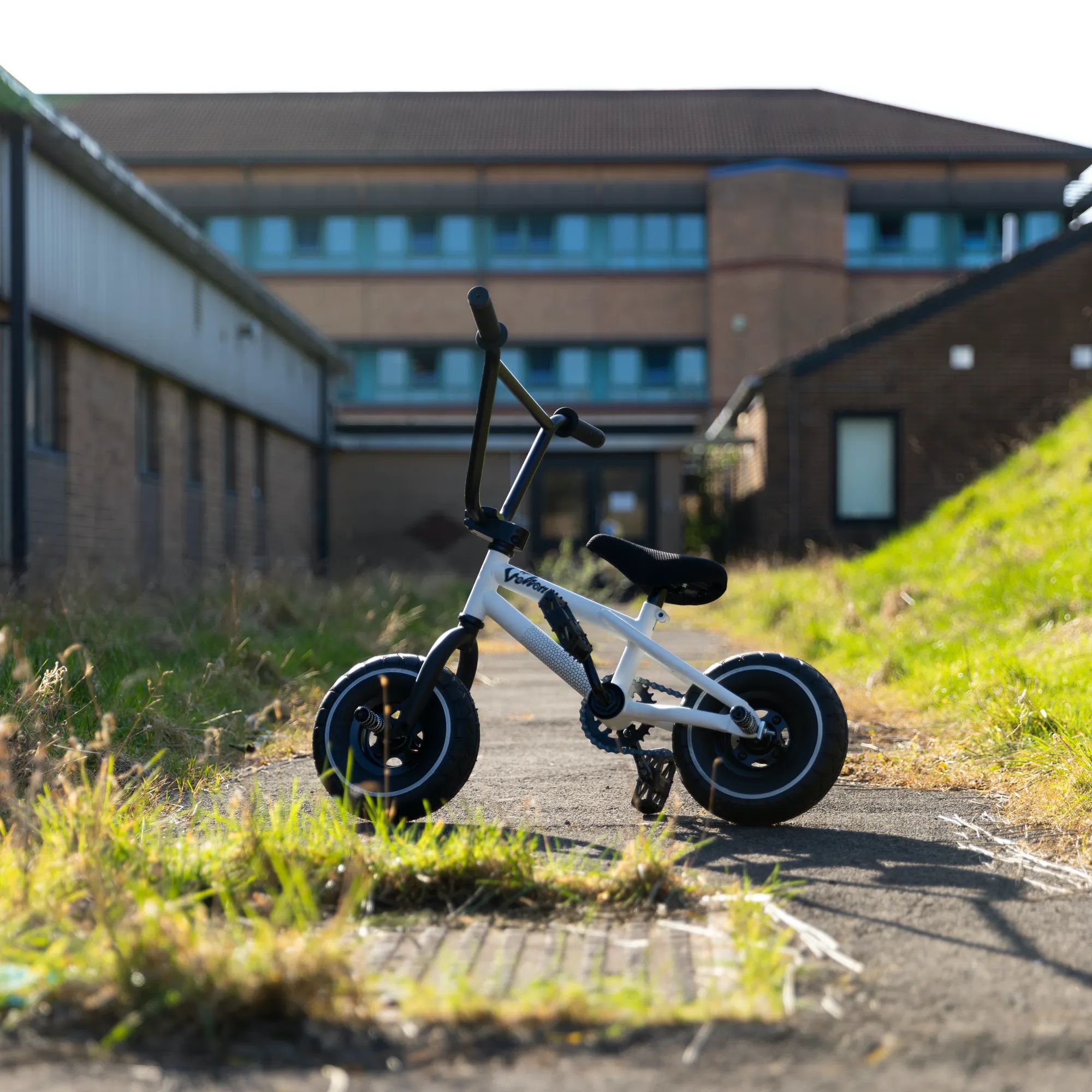 Venom 2021 pro mini bmx on sale