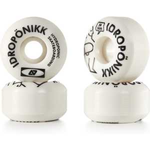 Hydroponic Hykea Skateboard Wheels - White 54mm